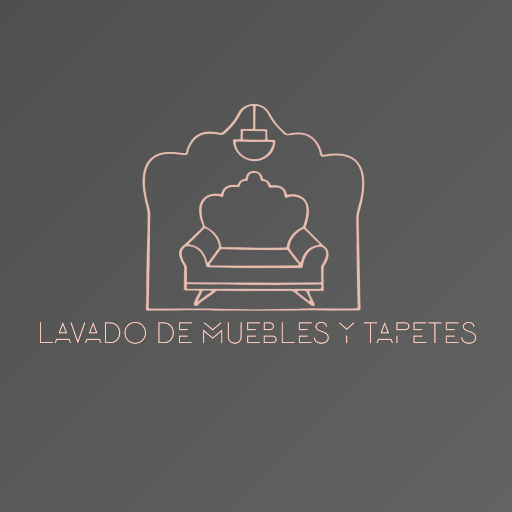 Lavado de Muebles y Tapetes JJT